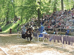 Historischer Markt 2016