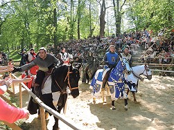 Historischer Markt 2016
