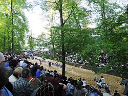 Historischer Markt 2016