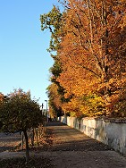 Käsemarkt 2016- herrliches Herbstwetter an der Langen Mauer