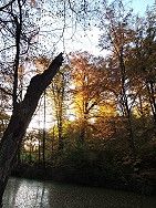 Käsemarkt 2016 - herrliches Herbstwetter im Schlossgraben